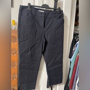 Loft crop straight leg stretch dress pants